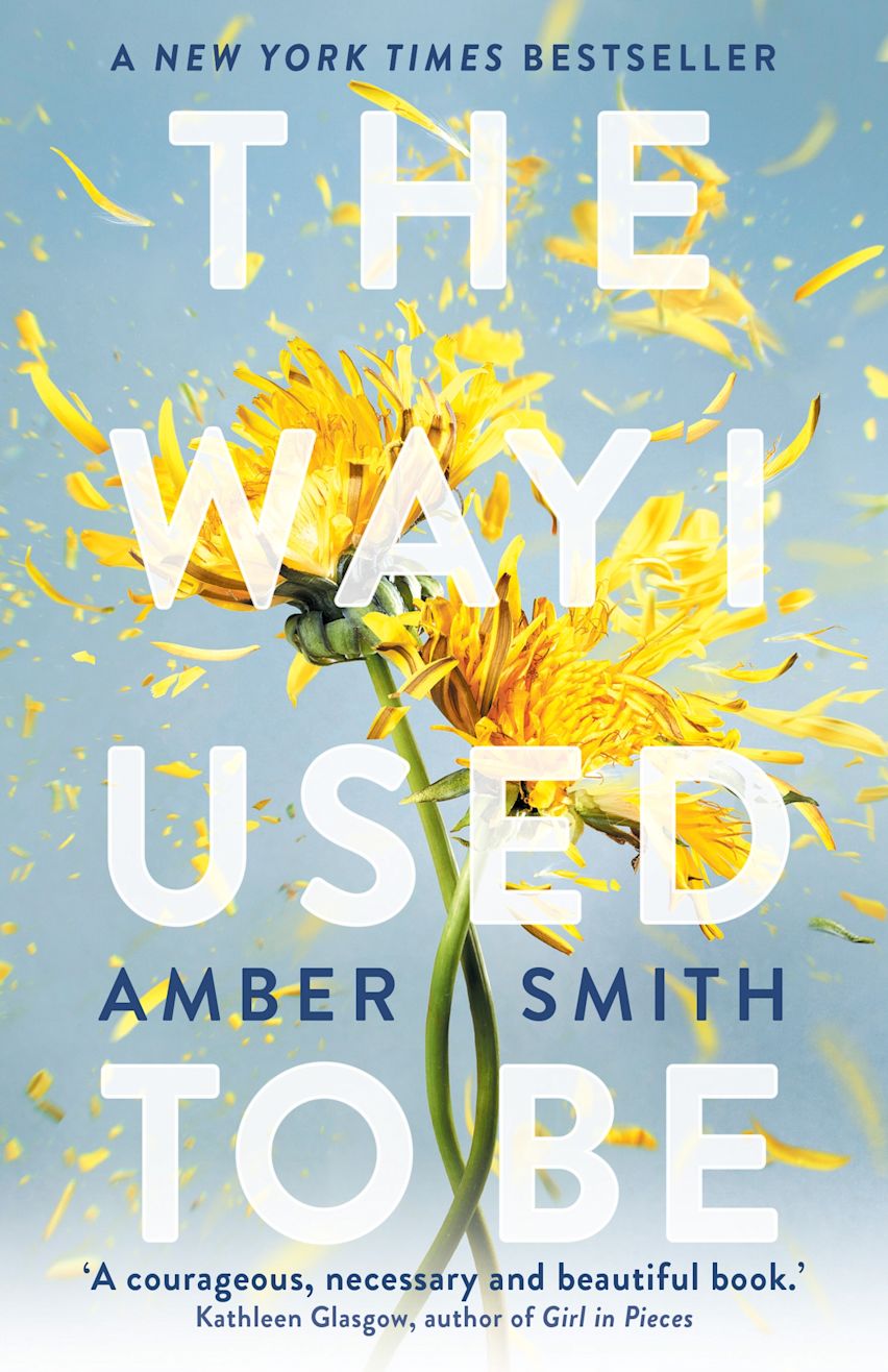The Way I Used to Be by Amber Smith